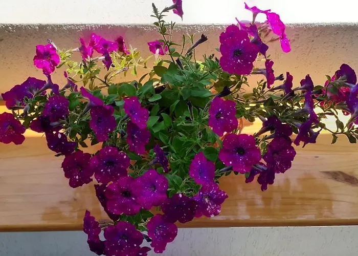 Apartment Maria's - Free Parking Area, No Ztl Cefalu